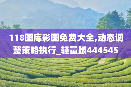 118图库彩图免费大全,动态调整策略执行_轻量版444545