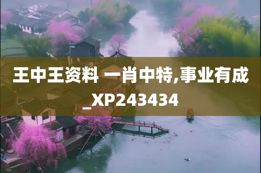 王中王资料 一肖中特,事业有成_XP243434