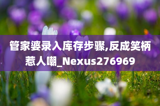 管家婆录入库存步骤,反成笑柄惹人嘲_Nexus276969