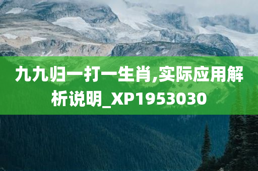 九九归一打一生肖,实际应用解析说明_XP1953030