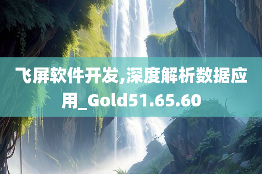 飞屏软件开发,深度解析数据应用_Gold51.65.60