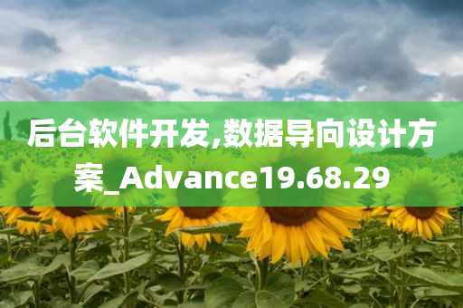 后台软件开发,数据导向设计方案_Advance19.68.29