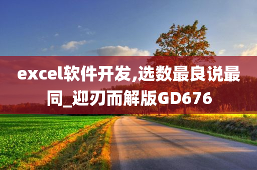 excel软件开发,选数最良说最同_迎刃而解版GD676