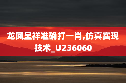 龙凤呈祥准确打一肖,仿真实现技术_U236060