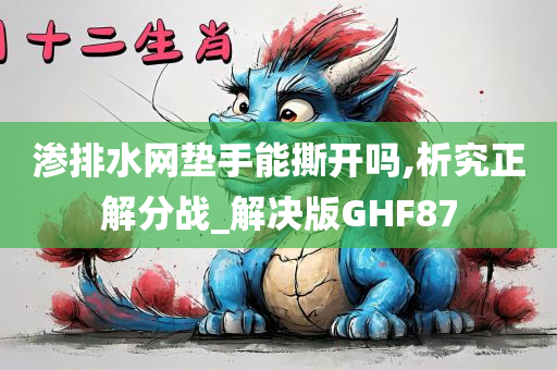 渗排水网垫手能撕开吗,析究正解分战_解决版GHF87