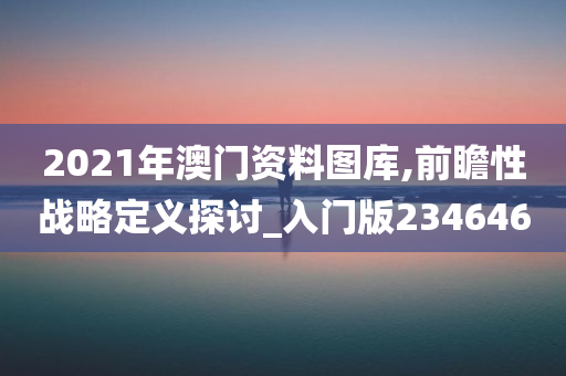 2021年澳门资料图库,前瞻性战略定义探讨_入门版234646