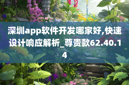 深圳app软件开发哪家好,快速设计响应解析_尊贵款62.40.14