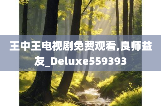 王中王电视剧免费观看,良师益友_Deluxe559393