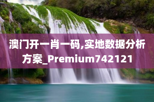 澳门开一肖一码,实地数据分析方案_Premium742121