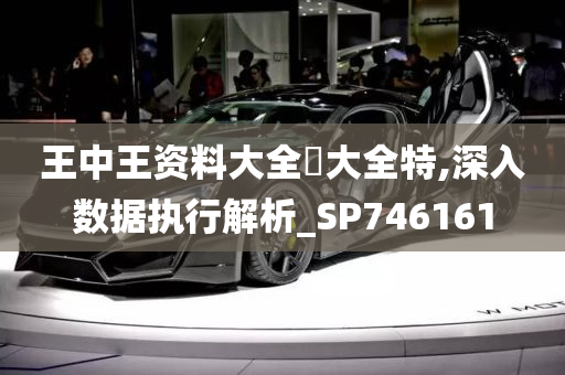 王中王资料大全枓大全特,深入数据执行解析_SP746161