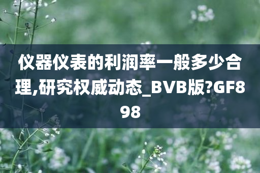 仪器仪表的利润率一般多少合理,研究权威动态_BVB版?GF898