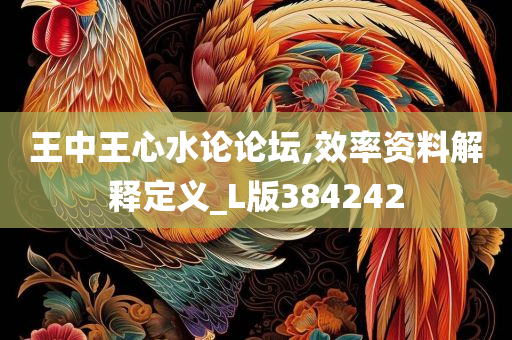 王中王心水论论坛,效率资料解释定义_L版384242