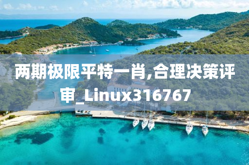 两期极限平特一肖,合理决策评审_Linux316767