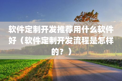 软件定制开发推荐用什么软件好（软件定制开发流程是怎样的？）