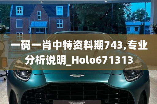 一码一肖中特资料期743,专业分析说明_Holo671313