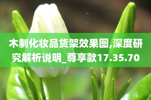 木制化妆品货架效果图,深度研究解析说明_尊享款17.35.70