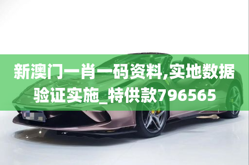 新澳门一肖一码资料,实地数据验证实施_特供款796565