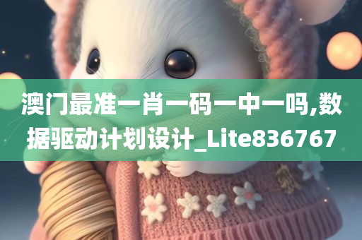 澳门最准一肖一码一中一吗,数据驱动计划设计_Lite836767