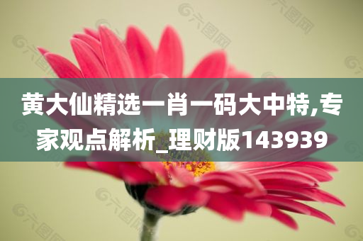 黄大仙精选一肖一码大中特,专家观点解析_理财版143939