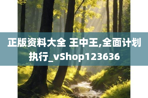 正版资料大全 王中王,全面计划执行_vShop123636