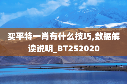 买平特一肖有什么技巧,数据解读说明_BT252020