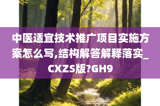 中医适宜技术推广项目实施方案怎么写,结构解答解释落实_CXZS版?GH9