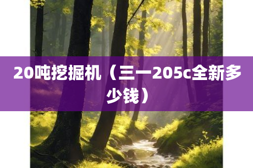 20吨挖掘机（三一205c全新多少钱）