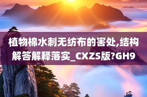 植物棉水刺无纺布的害处,结构解答解释落实_CXZS版?GH9