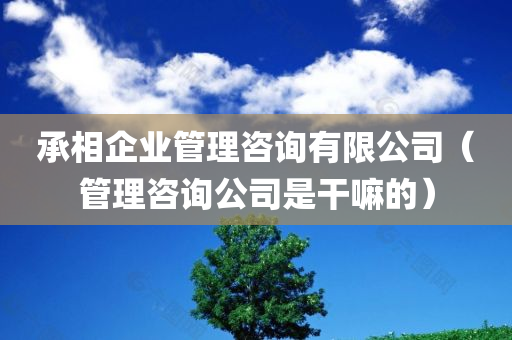 承相企业管理咨询有限公司（管理咨询公司是干嘛的）