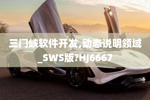 三门峡软件开发,动态说明领域_SWS版?HJ6667