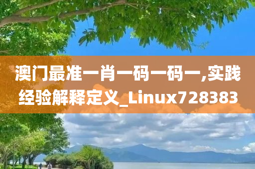 澳门最准一肖一码一码一,实践经验解释定义_Linux728383