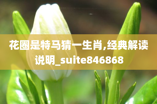 花圈是特马猜一生肖,经典解读说明_suite846868