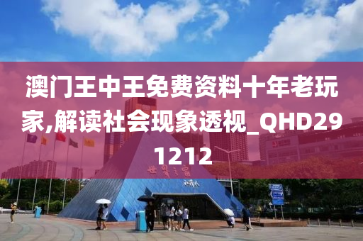 澳门王中王免费资料十年老玩家,解读社会现象透视_QHD291212