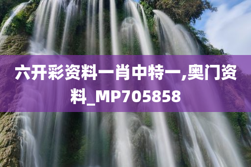 六开彩资料一肖中特一,奥门资料_MP705858