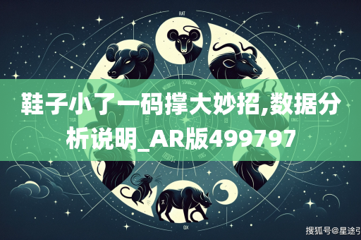 鞋子小了一码撑大妙招,数据分析说明_AR版499797