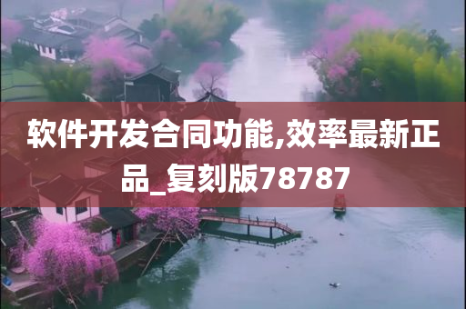 软件开发合同功能,效率最新正品_复刻版78787