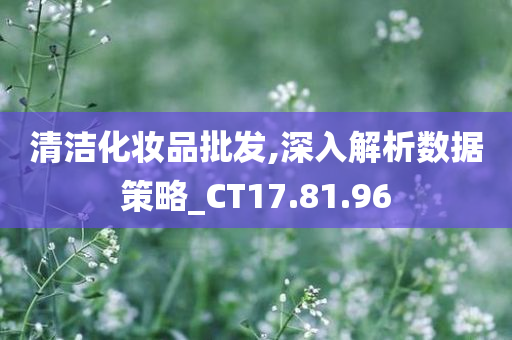 清洁化妆品批发,深入解析数据策略_CT17.81.96