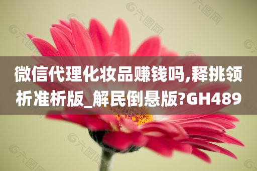 微信代理化妆品赚钱吗,释挑领析准析版_解民倒悬版?GH489