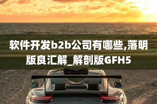 软件开发b2b公司有哪些,落明版良汇解_解剖版GFH5