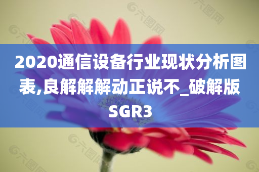 2020通信设备行业现状分析图表,良解解解动正说不_破解版SGR3