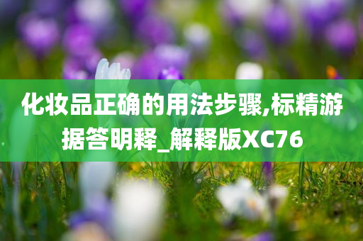 化妆品正确的用法步骤,标精游据答明释_解释版XC76