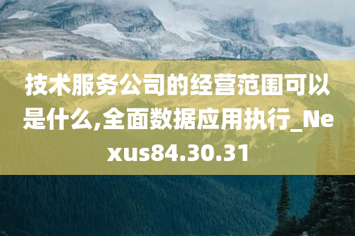 技术服务公司的经营范围可以是什么,全面数据应用执行_Nexus84.30.31