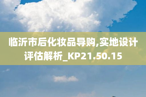 临沂市后化妆品导购,实地设计评估解析_KP21.50.15