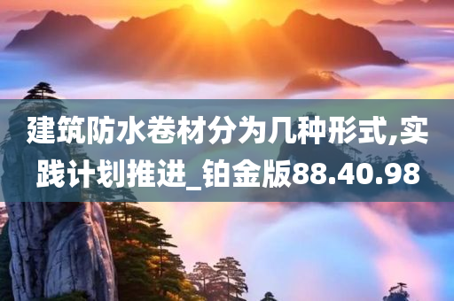 建筑防水卷材分为几种形式,实践计划推进_铂金版88.40.98