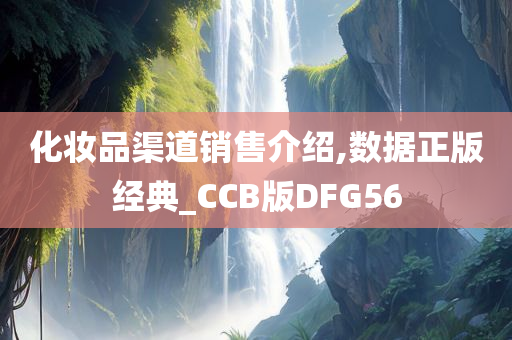 化妆品渠道销售介绍,数据正版经典_CCB版DFG56