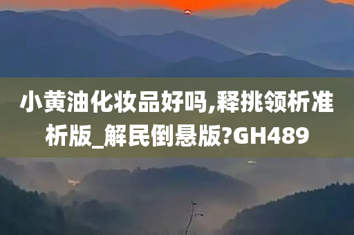 小黄油化妆品好吗,释挑领析准析版_解民倒悬版?GH489