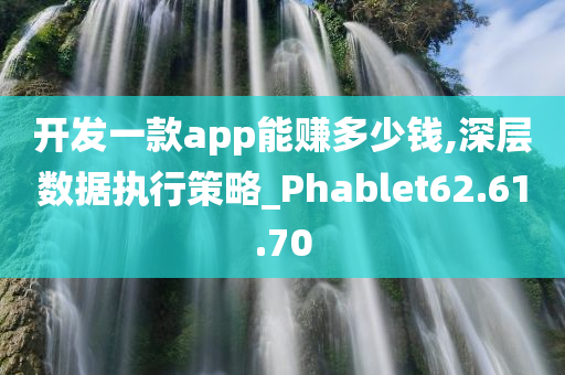 开发一款app能赚多少钱,深层数据执行策略_Phablet62.61.70