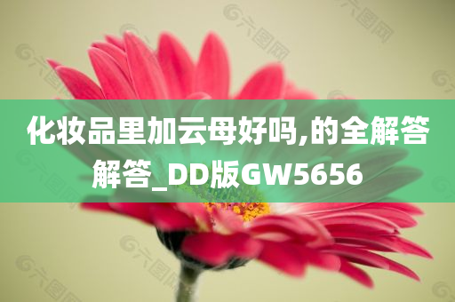 化妆品里加云母好吗,的全解答解答_DD版GW5656