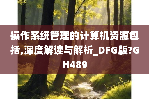 操作系统管理的计算机资源包括,深度解读与解析_DFG版?GH489