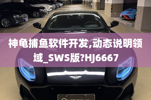 神龟捕鱼软件开发,动态说明领域_SWS版?HJ6667